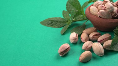 Yeşil yapraklar ve kahverengi kâseyle süslenmiş fıstıklar. Yeşil arka plan, üst manzara. Düz yatıyordu.