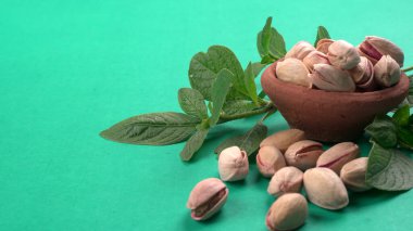 Yeşil yapraklar ve kahverengi kâseyle süslenmiş fıstıklar. Yeşil arka plan, üst manzara. Düz yatıyordu.