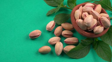 Yeşil yapraklar ve kahverengi kâseyle süslenmiş fıstıklar. Yeşil arka plan, üst manzara. Düz yatıyordu.