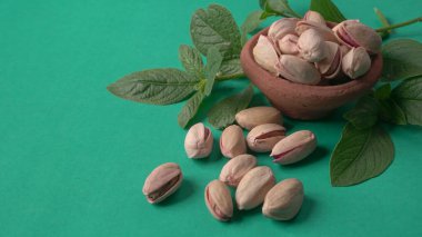 Yeşil yapraklar ve kahverengi kâseyle süslenmiş fıstıklar. Yeşil arka plan, üst manzara. Düz yatıyordu.