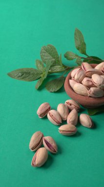 Yeşil yapraklar ve kahverengi kâseyle süslenmiş fıstıklar. Yeşil arka plan, üst manzara. Düz yatıyordu.