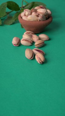 Yeşil yapraklar ve kahverengi kâseyle süslenmiş fıstıklar. Yeşil arka plan, üst manzara. Düz yatıyordu.
