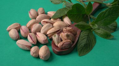 Yeşil yapraklar ve kahverengi tahta kaşıkla süslenmiş Pistachios veya Pista fındıkları. Yeşil arka plan, üst manzara. Düz yatıyordu.