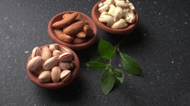 Stüdyo arka planında yeşil yapraklı çeşitli fındıklar.