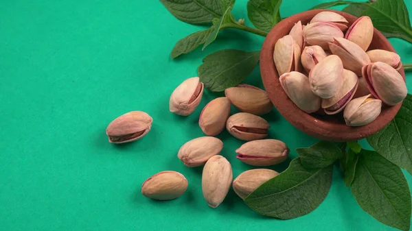 Yeşil yapraklar ve kahverengi kâseyle süslenmiş fıstıklar. Yeşil arka plan, üst manzara. Düz yatıyordu.