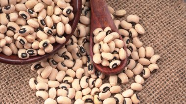 Ahşap kaşıklı bir kase pişmemiş siyah bezelye. Sağlıklı gıda kavramı.