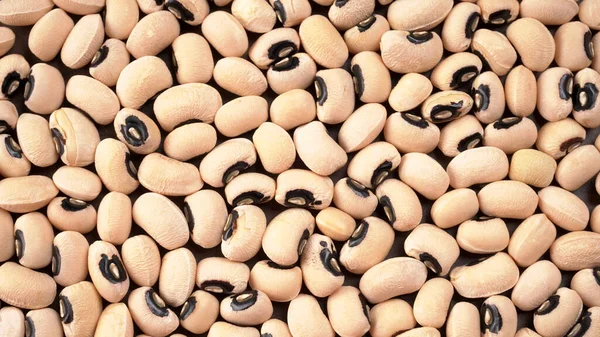 調理されていない黒い目のエンドウ豆の閉鎖 健康食品の概念 — ストック写真