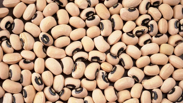 Closeup Uncooked Black Eyed Peas Health Food Concept — Stock Photo, Image