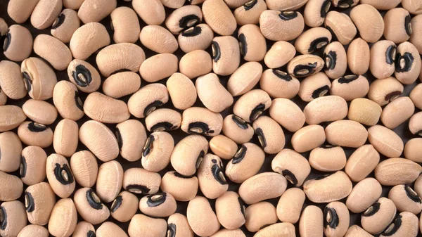 Closeup Uncooked Black Eyed Peas Health Food Concept — Stock Photo, Image