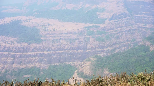 夏の山の緑の植物 昼間の景色 — ストック写真