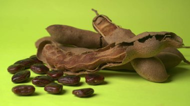 Dried beans and bean pods on green background 