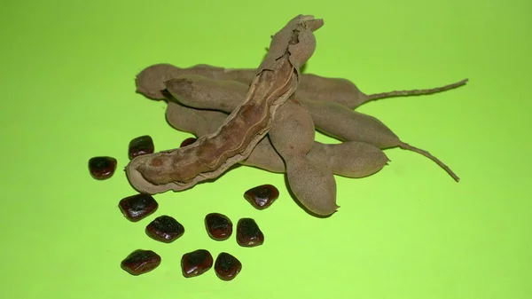 Dried Beans Bean Pods Green Background — Fotografia de Stock
