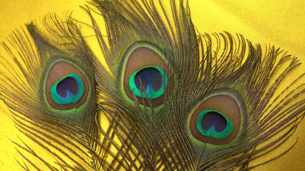 Beautiful Peacock Feathers Yellow Background Closeup Shot — Stock Photo, Image