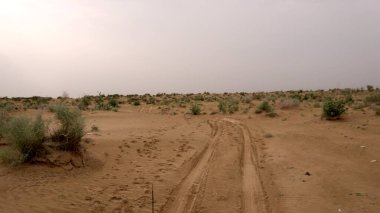 Gündüz vakti araba lastiği izleri olan doğal kum tepecikleri.