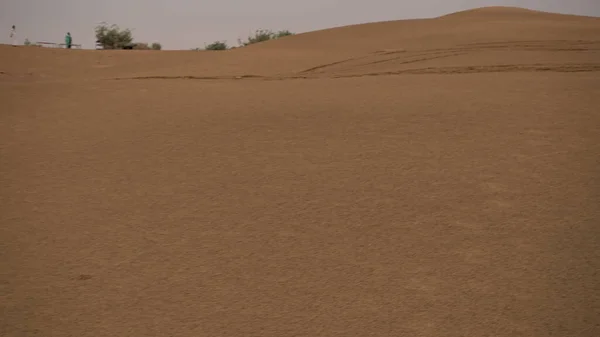 Inde Août 2019 Crowd Walking Indian Desert Daytime — Photo