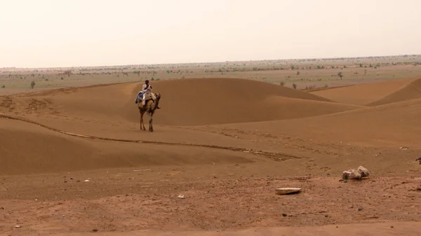 Índia Agosto 2019 Homem Indiano Com Camelo Caminhando Deserto Durante — Fotografia de Stock