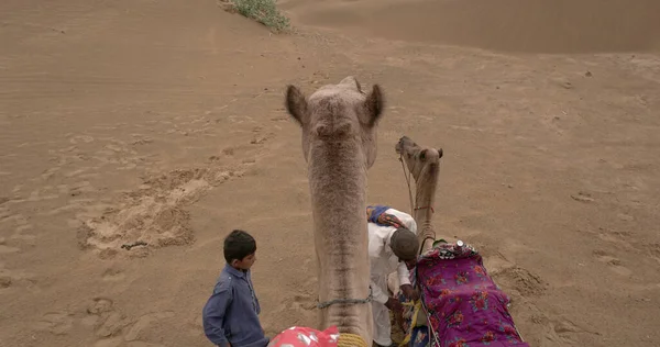 India Agosto 2019 Turistas Montando Camellos Desierto Indio Durante Día —  Fotos de Stock