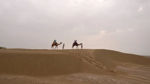 Índia Agosto 2019 Turistas Montando Camelos Deserto Indiano Durante Dia — Fotografia de Stock