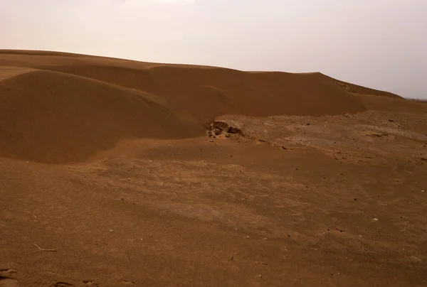 Onde Sabbia Nel Deserto Durante Giorno — Foto Stock