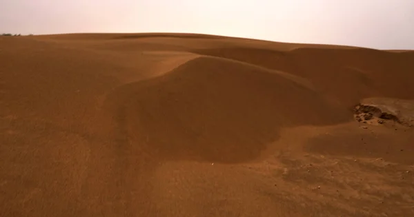 Sandy Waves Desert Daytime — Stock Photo, Image