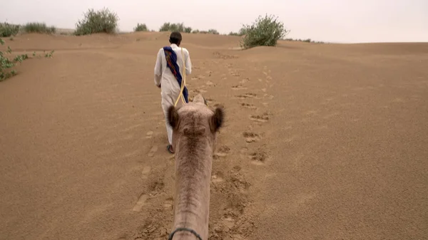 Indien August 2019 Indischer Mann Mit Kamel Läuft Tagsüber Der — Stockfoto