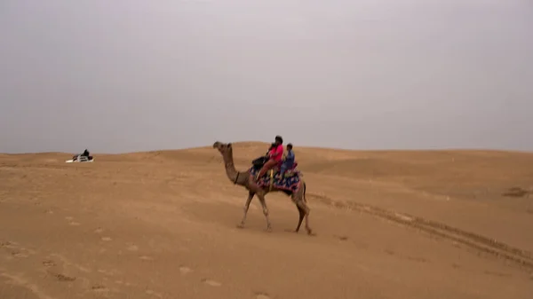 Índia Agosto 2019 Turistas Montando Camelos Deserto Indiano Durante Dia — Fotografia de Stock