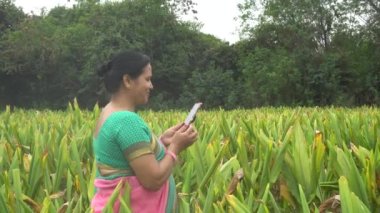 INDIA - CIRCA 2019: Geleneksel giysiler içinde orta yaşlı kadın, gün içinde çiftlikte yeşil yapraklı küçük palmiye ağaçları arasında yürüyor 