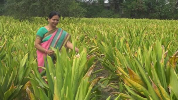 India Circa 2019 Mujer Mediana Edad Ropa Tradicional Caminando Entre — Vídeo de stock