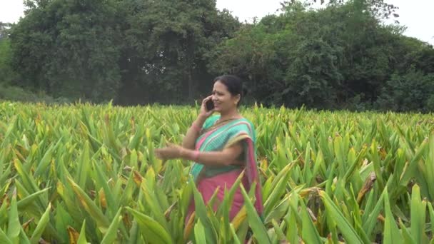 India Circa 2019 Mujer Mediana Edad Ropa Tradicional Caminando Entre — Vídeo de stock