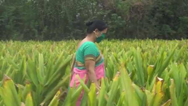 India Circa 2019 Žena Středního Věku Tradičním Oblečení Kráčí Mezi — Stock video