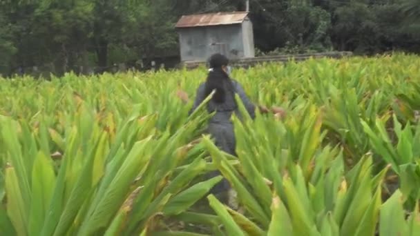 India Circa 2019 Mujer Mediana Edad Ropa Tradicional Caminando Entre — Vídeo de stock