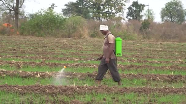 India Circa 2019 Farmare Besprutning Kemikalier Fältet — Stockvideo