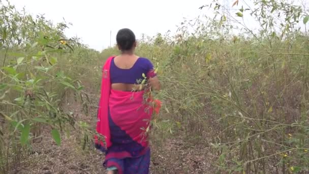 India Circa 2019 Middle Aged Woman Traditional Clothes Walking Rows — Stock Video