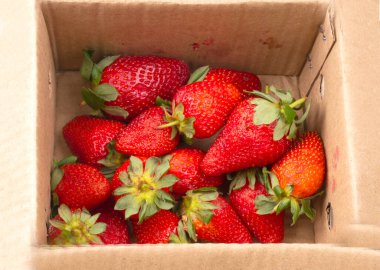 Kırmızı çilek dolu karton kutu, yakın çekim.