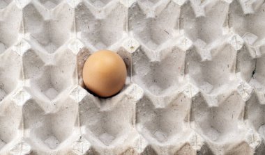 Pakette yakın plan bir kahverengi yumurta. Yalnız tavuk yumurtası tepside