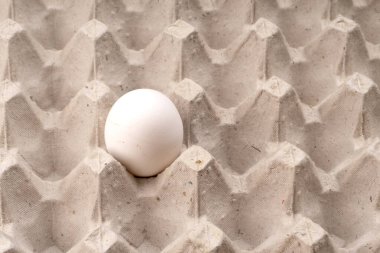 Yakın plan bir pakette çiğ beyaz yumurta. Yalnız tavuk yumurtası tepside