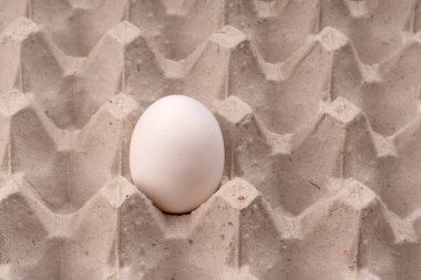 Yakın plan bir pakette çiğ beyaz yumurta. Yalnız tavuk yumurtası tepside
