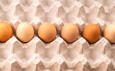 Karton kutuda altı tavuk yumurtası, yakın çekim. 