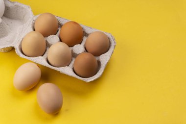 Karton yumurta tepsisinde kahverengi tavuk yumurtası. Sağlıklı protein kahvaltısı için organik yumurta. Paskalya sembolü. Çiğ tavuk yumurtası..
