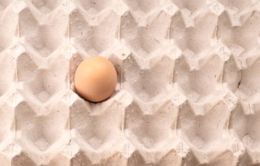 Pakette yakın plan bir kahverengi yumurta. Yalnız tavuk yumurtası tepside
