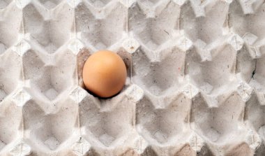 Pakette yakın plan bir kahverengi yumurta. Yalnız tavuk yumurtası tepside