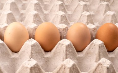 Karton yumurta tepsisinde kahverengi tavuk yumurtası. Sağlıklı protein kahvaltısı için organik yumurta. Paskalya sembolü. Çiğ tavuk yumurtası..