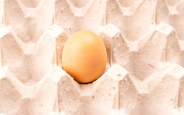 Ein Braunes Großaufnahme Einsames Hühnerei Einem Tablett — Stockfoto