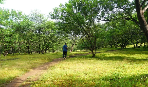 India Julio 2021 Disparo Diurno Joven Indio Caminando Parque Verano — Foto de Stock