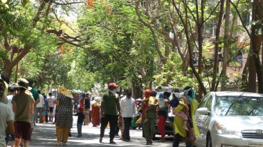 INDIA - 08 Mayıs 2020: Yeşil ağaçların gölgesinde park etmiş arabalarla eski caddenin yanından geçen kalabalık  