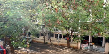 INDIA - 1 Mayıs 2020: Gündüz vakti arabalı ve yeşil ağaçlı Hindistan Caddesi 