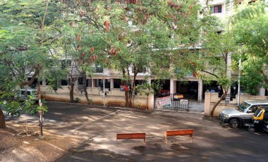 INDIA - 1 Mayıs 2020: Gündüz vakti arabalı ve yeşil ağaçlı Hindistan Caddesi 