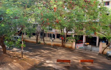 INDIA - 1 Mayıs 2020: Gündüz vakti arabalı ve yeşil ağaçlı Hindistan Caddesi 