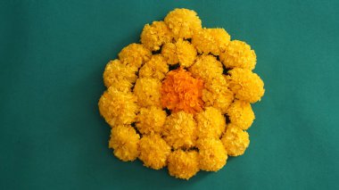 Marigold 'un sarı çiçekleri. Taze tatil çiçekleri, yakın çekim.