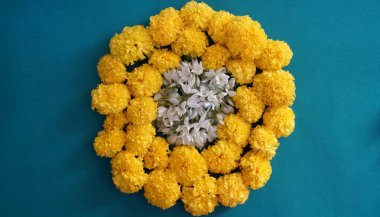 Marigold 'un sarı çiçekleri. Taze tatil çiçekleri, yakın çekim.